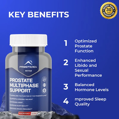 Prostate Multiphase 1