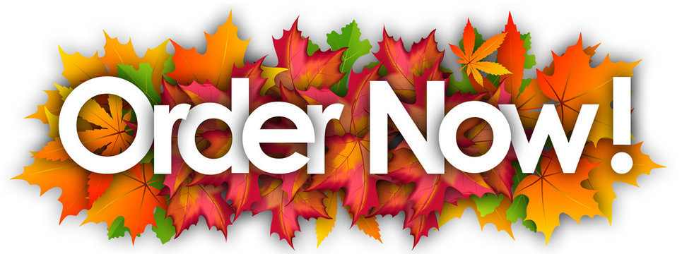 Enhanced Top T Reviews